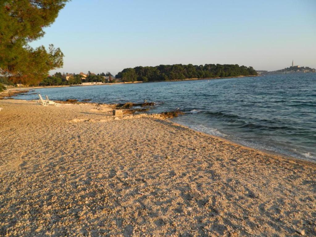 Apartman SARA Rovinj Bagian luar foto