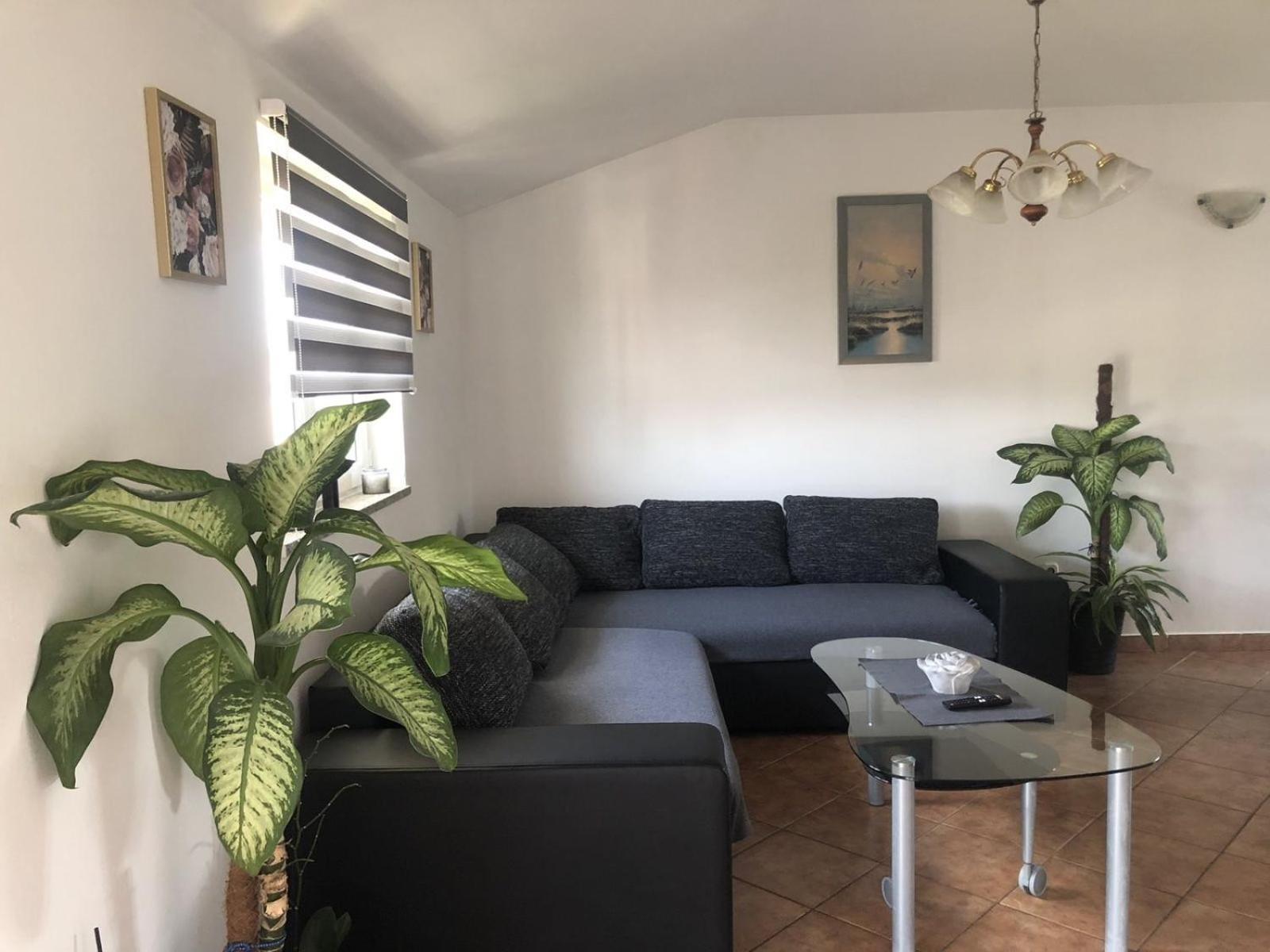 Apartman SARA Rovinj Bagian luar foto